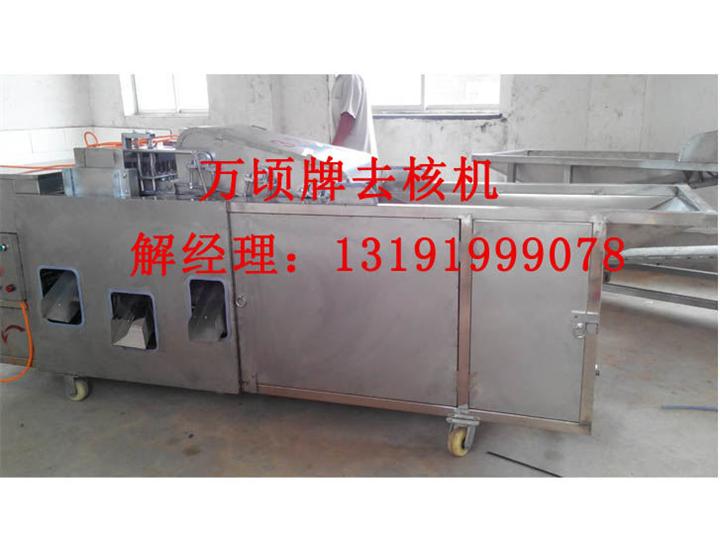 杨梅去核机供应